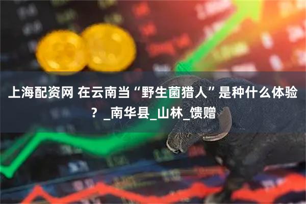 上海配资网 在云南当“野生菌猎人”是种什么体验？_南华县_山林_馈赠
