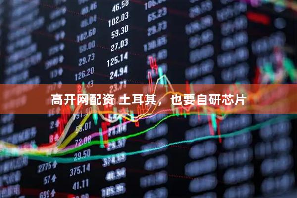 高开网配资 土耳其，也要自研芯片